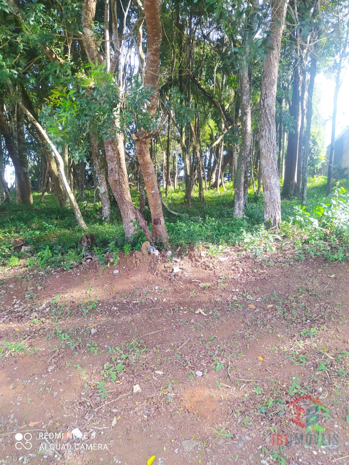 Terreno à venda, CENTRAL PARK, IBIUNA - SP