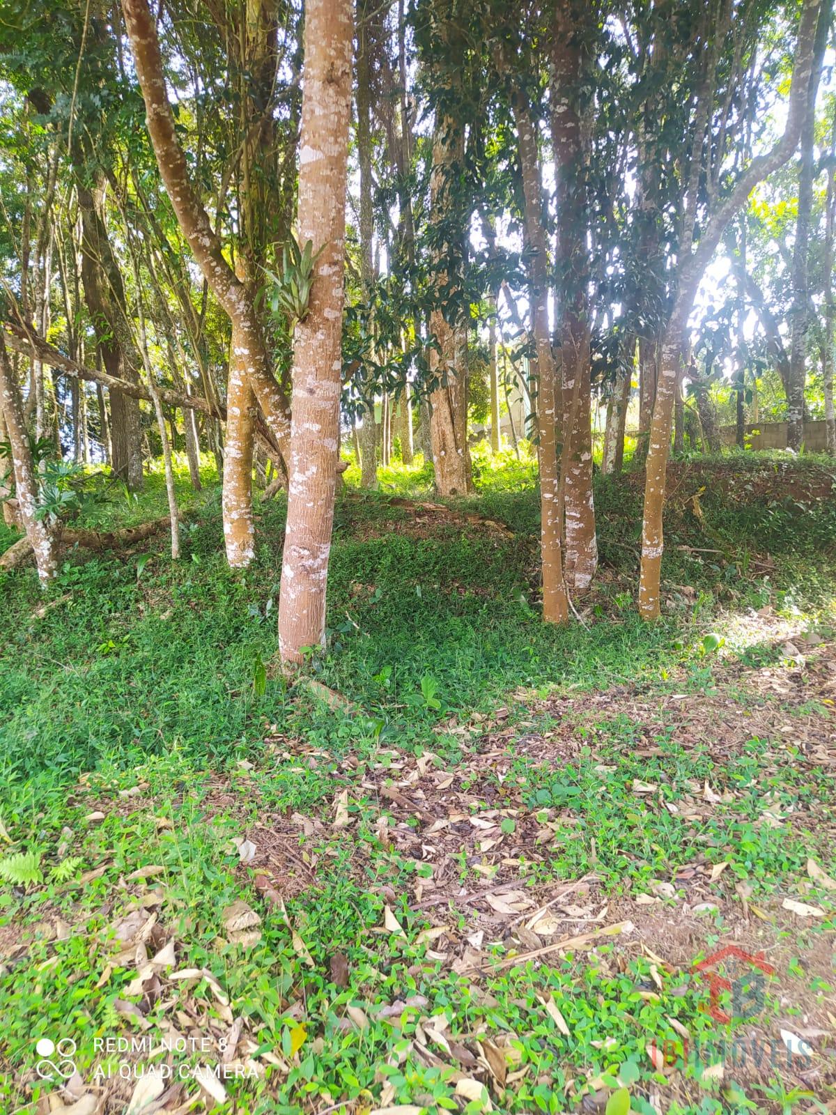 Terreno à venda, CENTRAL PARK, IBIUNA - SP