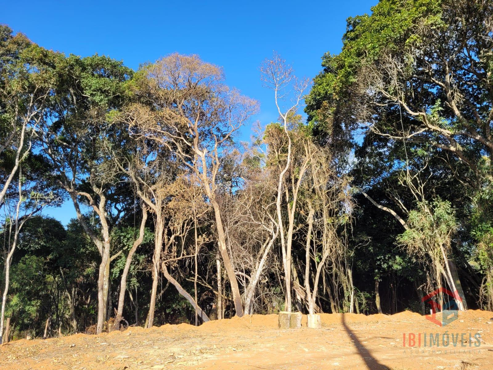 Lindo lote antes do centro a venda ja com platô pronto, IBIUNA...