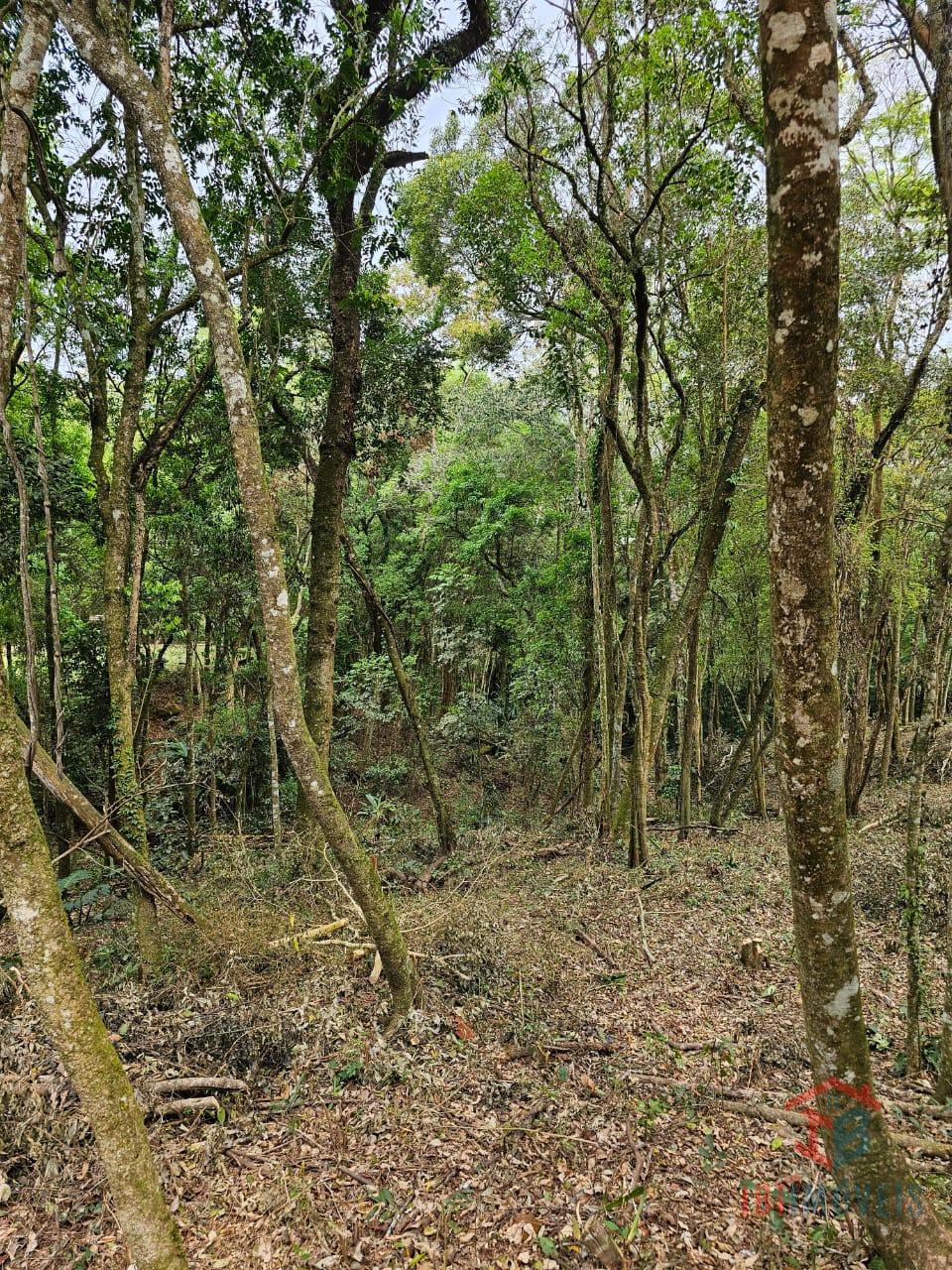 Ibiúna Oportunidade Terreno com 1.950m  em condomínio com clube