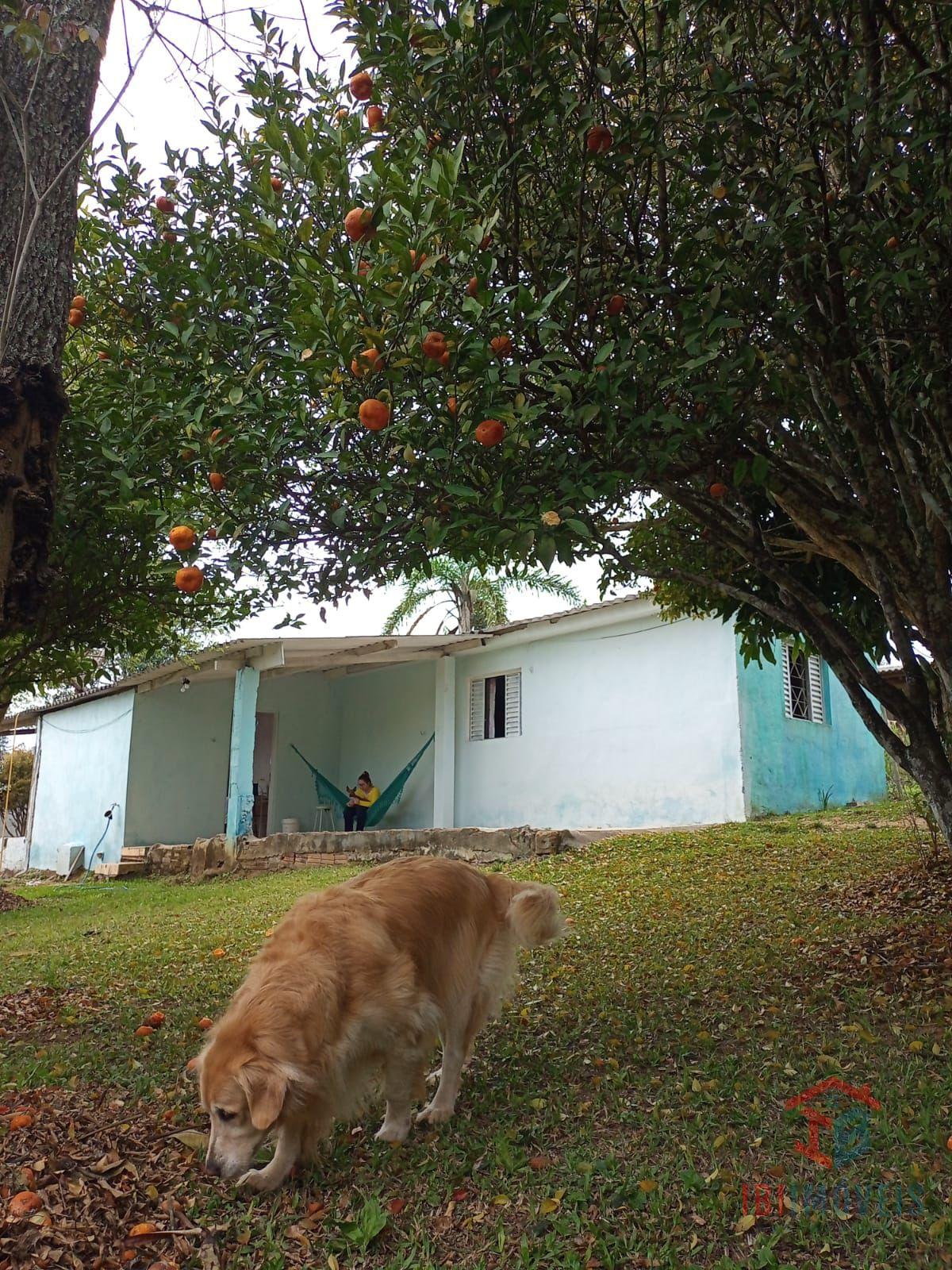Chácara com piscina a venda na cidade de Ibiúna SP