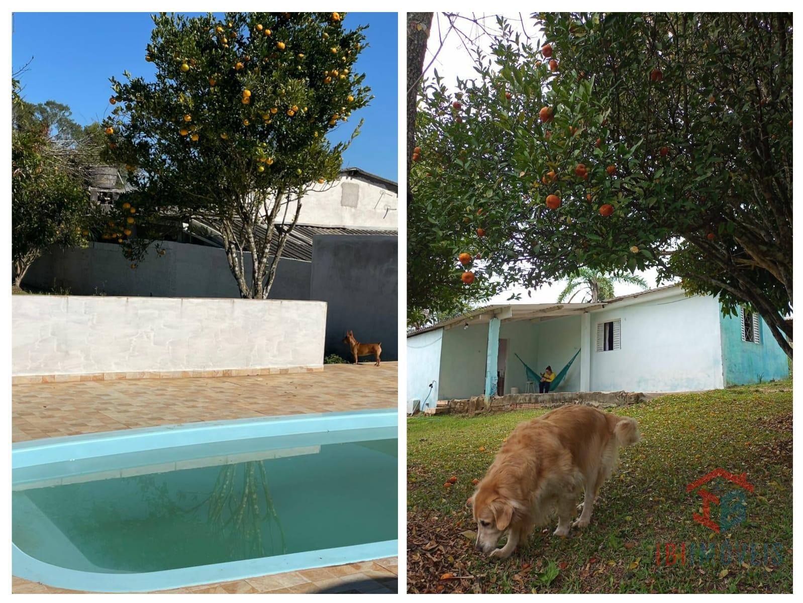 Chácara com piscina a venda na cidade de Ibiúna SP