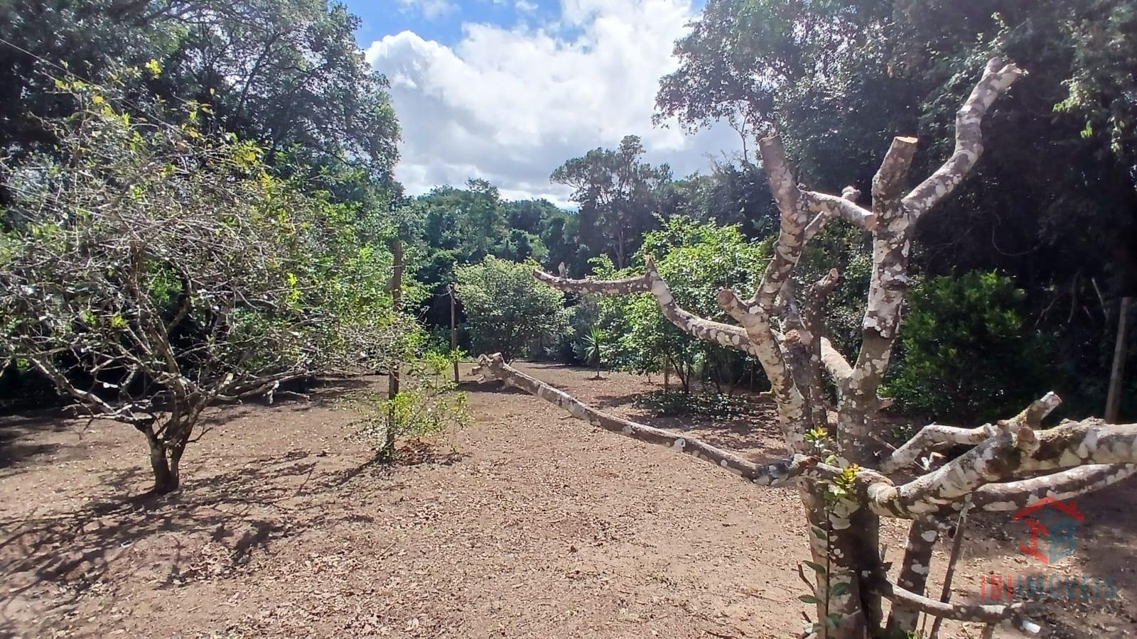 Ibiúna Terreno com 2.000m  ótimo local para formar sua chácara