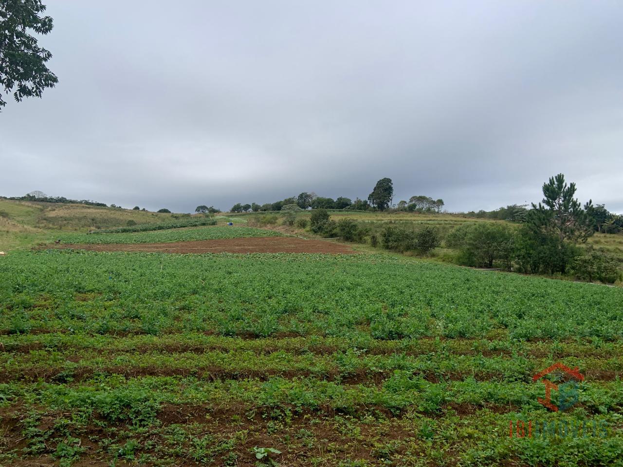 IBIÚNA, Sitio com vista panorâmica  para lavoura, empreendimento 
