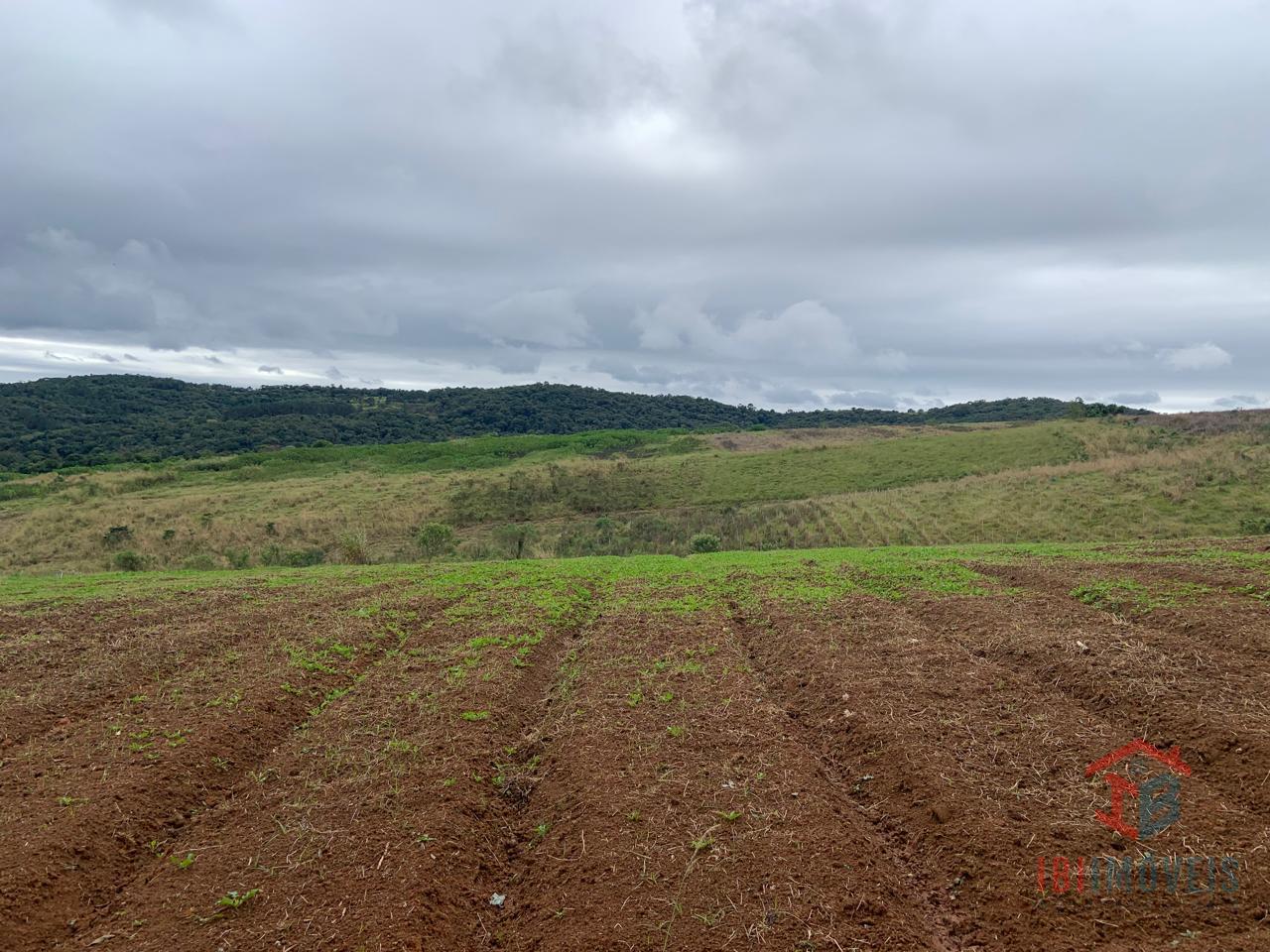 IBIÚNA, Sitio com vista panorâmica  para lavoura, empreendimento 