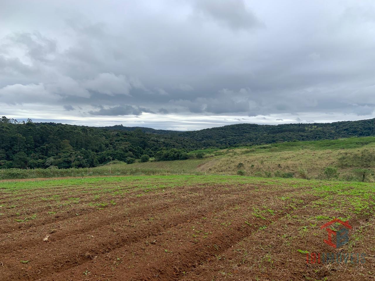 IBIÚNA, Sitio com vista panorâmica  para lavoura, empreendimento 