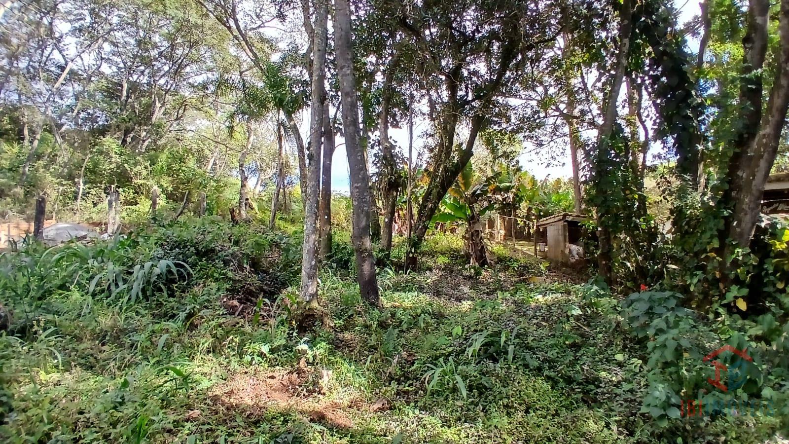 Terreno com 480m  em ótima localização, fácil acesso para vera...