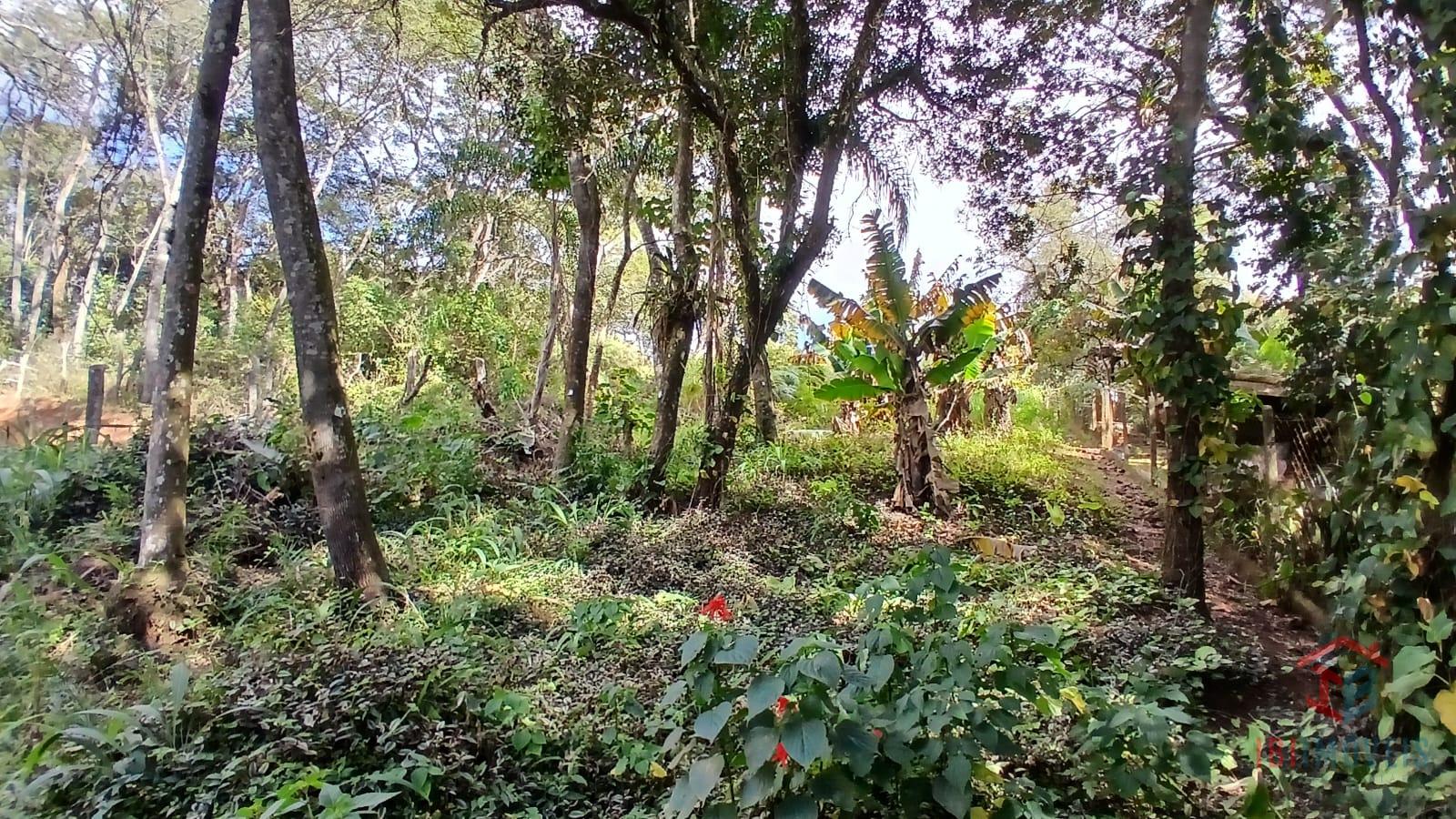 Terreno com 480m  em ótima localização, fácil acesso para vera...