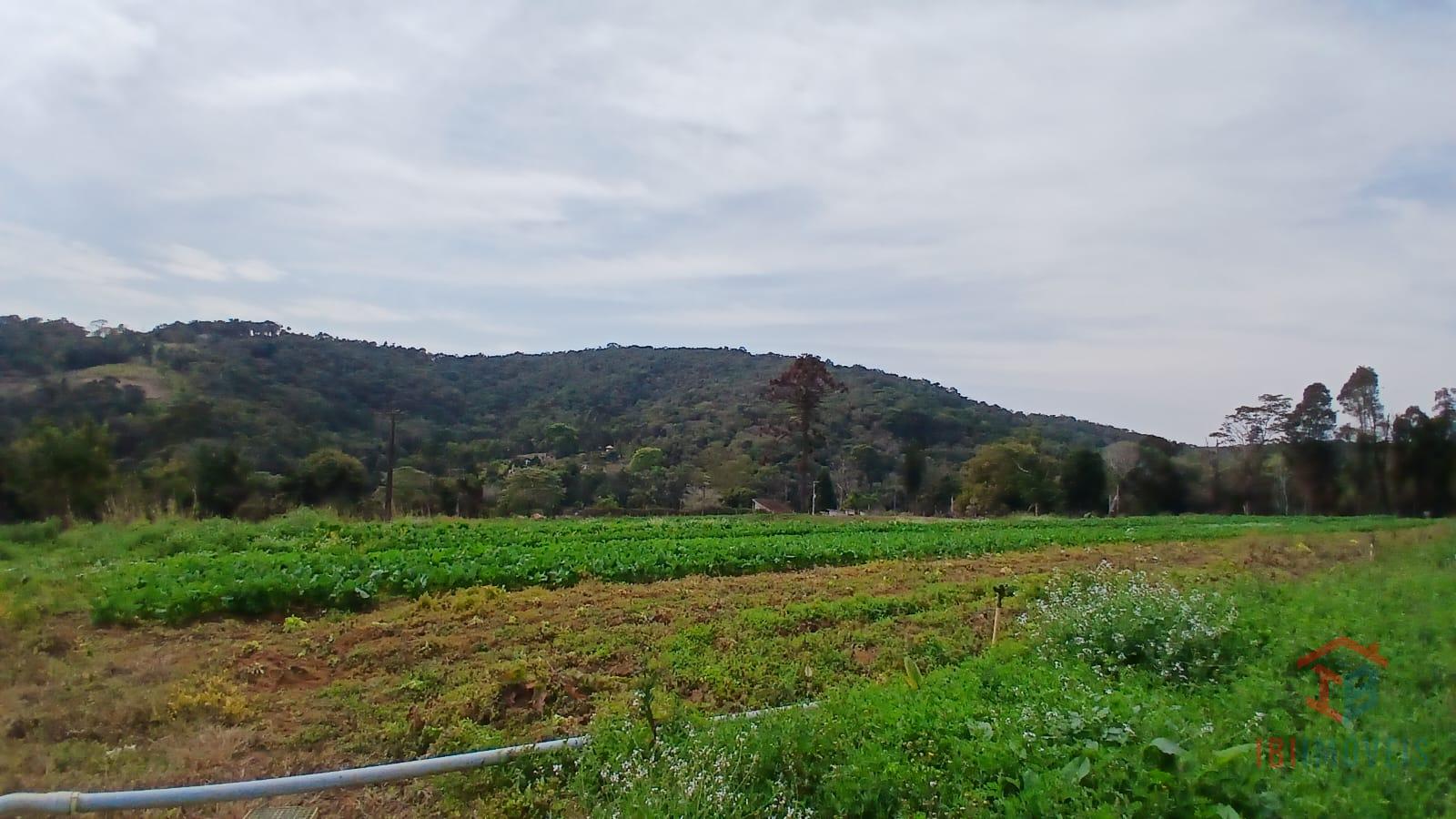 Ibúna sitio com 4 algueires pronto para plantio