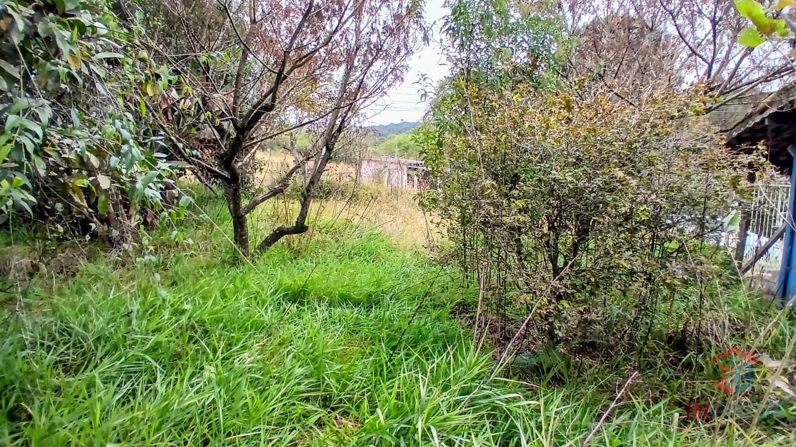 Ibiúna oportunidade terreno para formação de chácara para laze...