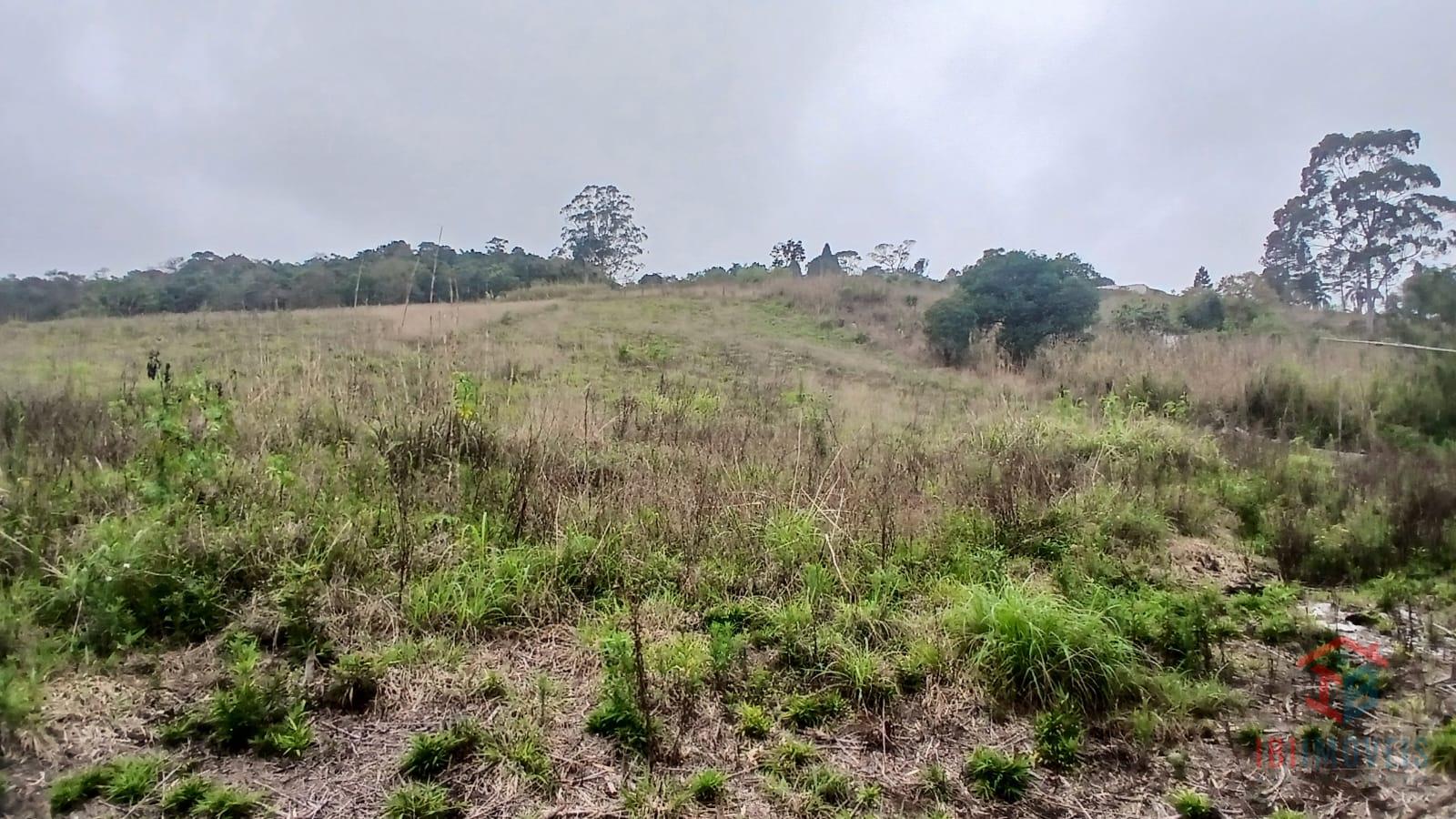 Ibiúna terreno com 5.000m  para formação de chácara