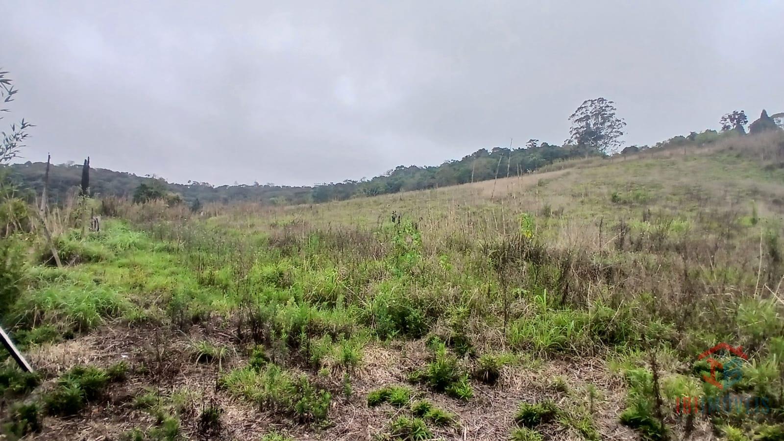 Ibiúna terreno com 5.000m  para formação de chácara