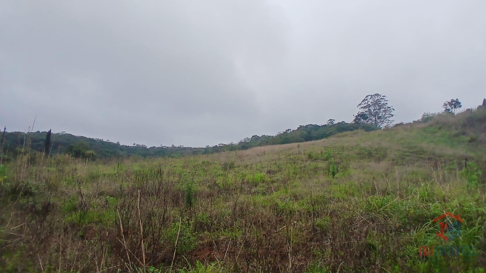 Ibiúna terreno com 5.000m  para formação de chácara