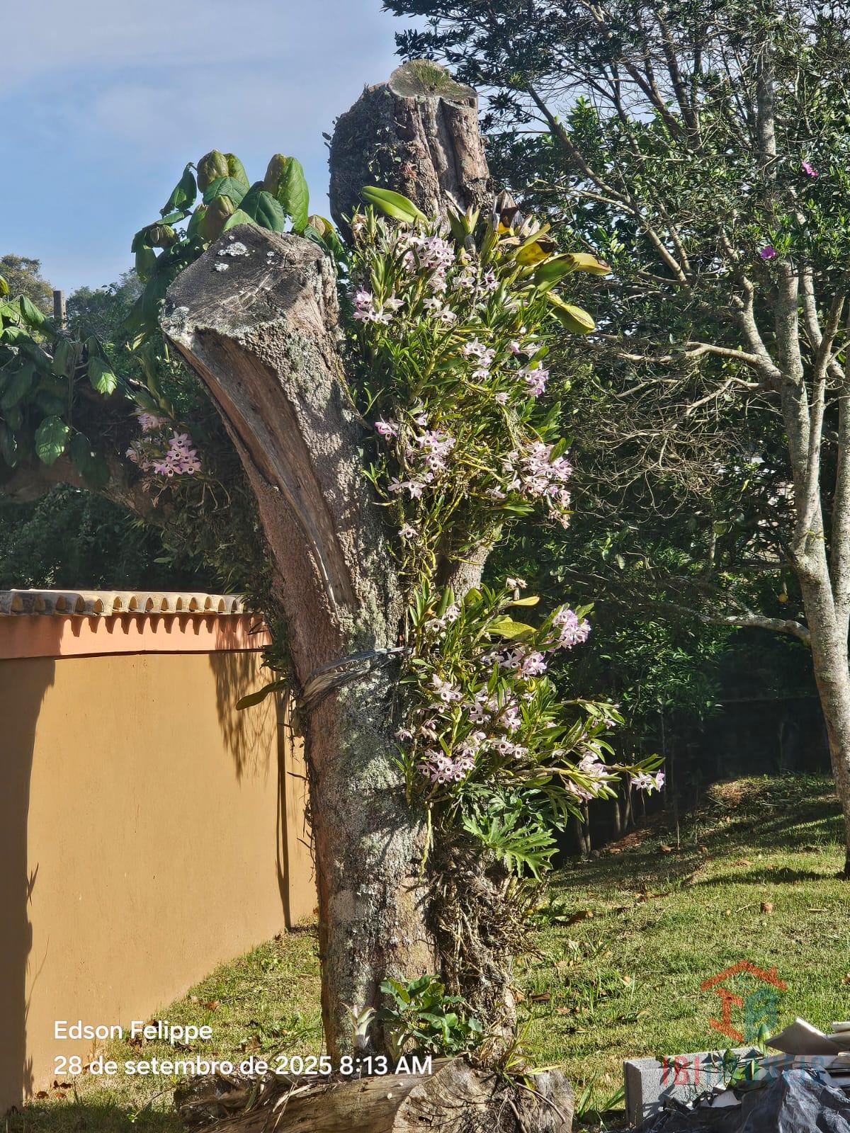 Linda chácara dentro de condomínio, próximo ao centro da cidad...