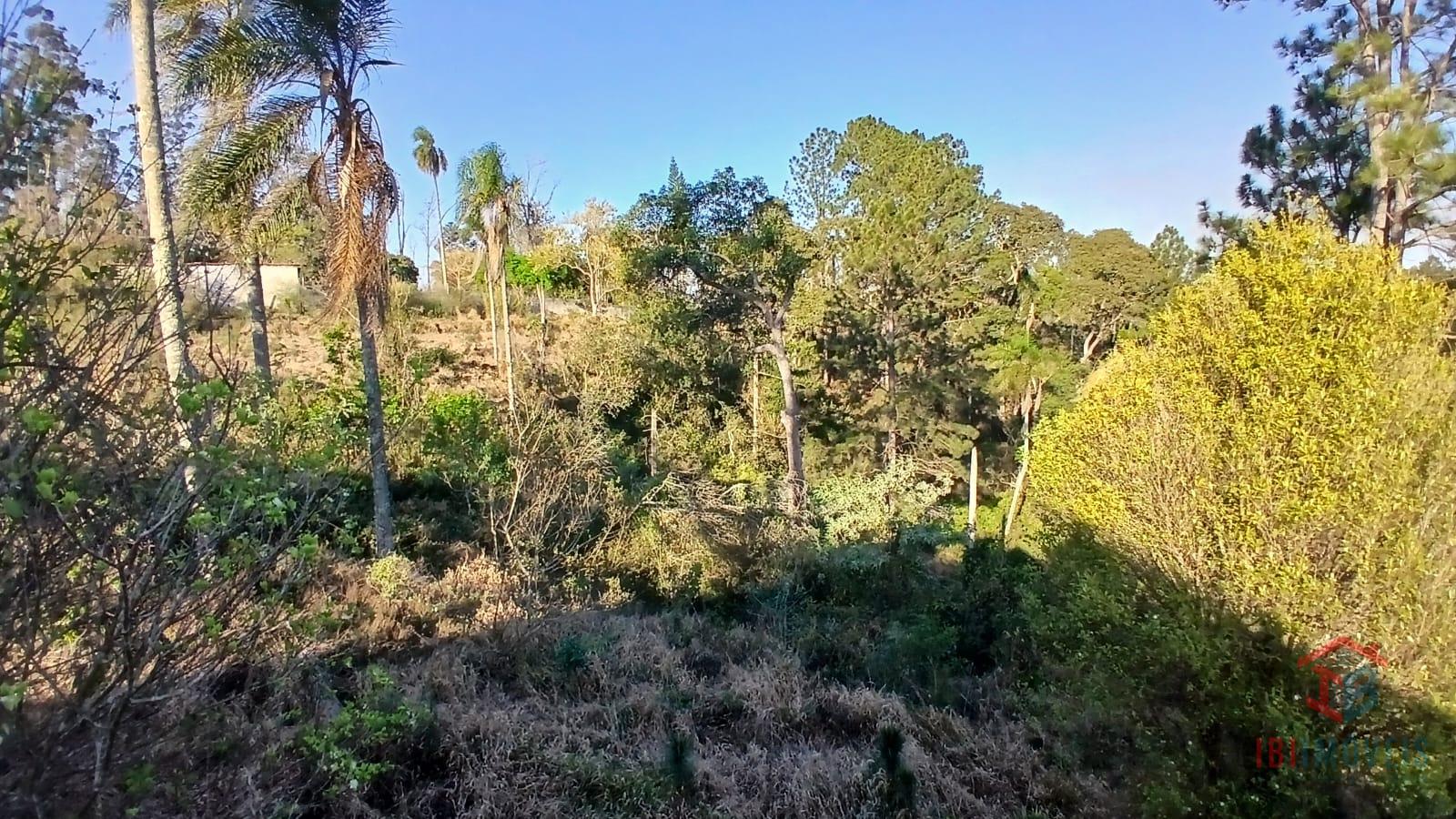 São Roque - área com 37.250m  excelente localização, fácil ace...