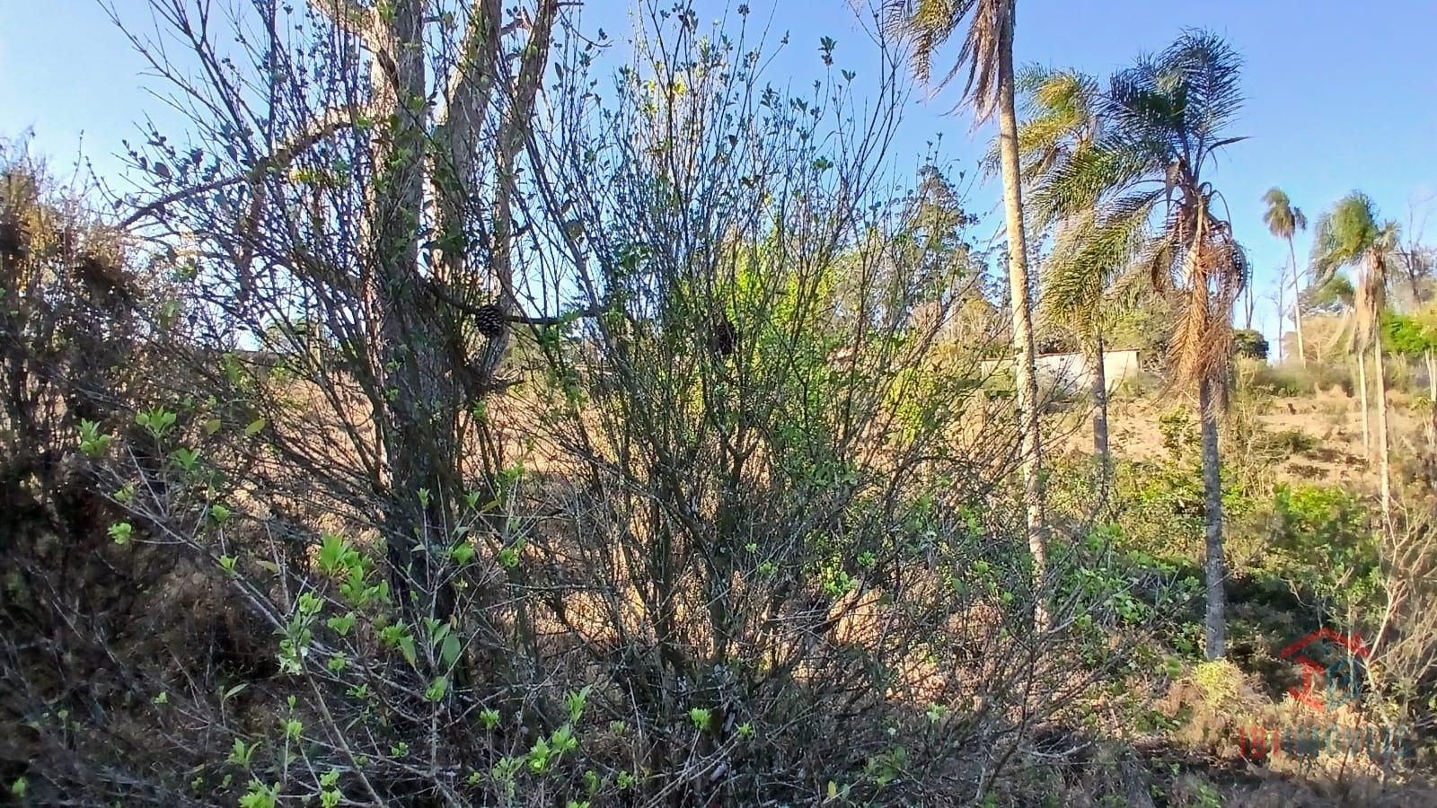 São Roque - área com 37.250m  excelente localização, fácil ace...