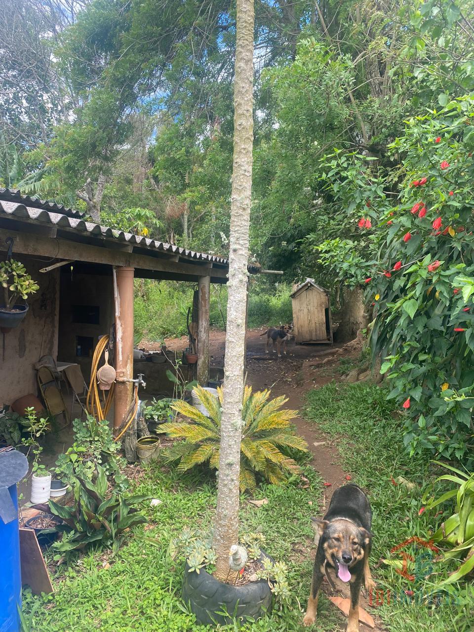 CHÁCARA À VENDA 12.000 m2.  EXCELENTE OPORTUNIDADE EM IBIÚNA 