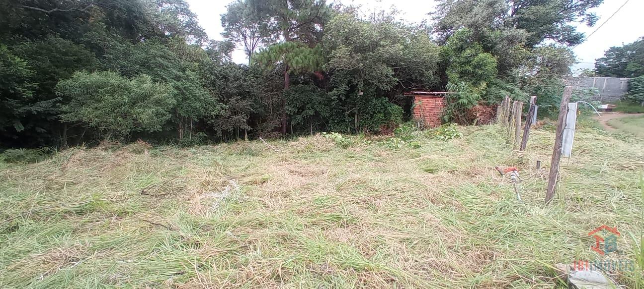 TERRENO COM ÓTIMA TOPOGRAFIA. REALIZE O SONHO DA SUA CHÁCARA E...