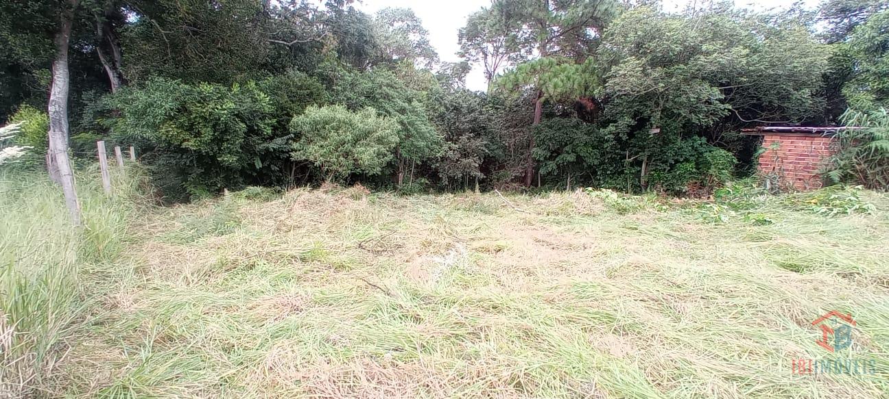 TERRENO COM ÓTIMA TOPOGRAFIA. REALIZE O SONHO DA SUA CHÁCARA E...