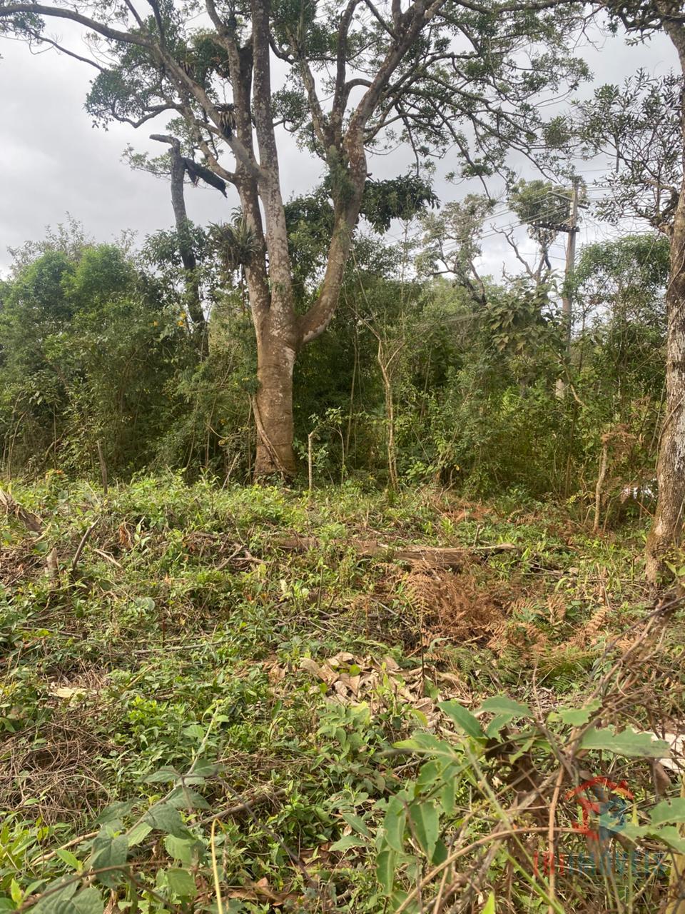 Terreno à Venda em Ibiúna/SP - 1800 m2