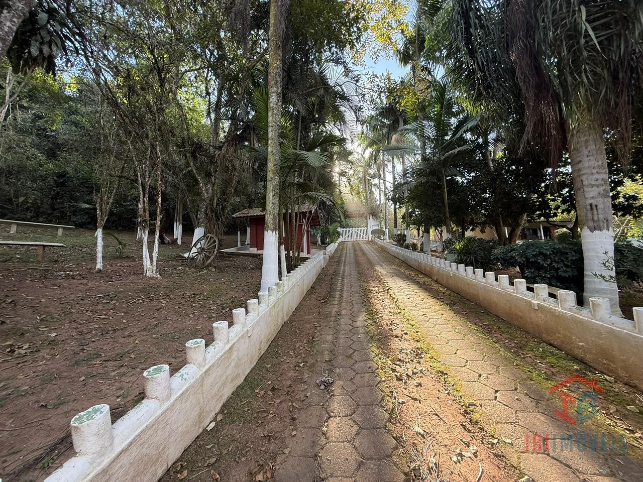 Oportunidade Única: Sítio Completo com 12.000m² e Ampla Casa Sede