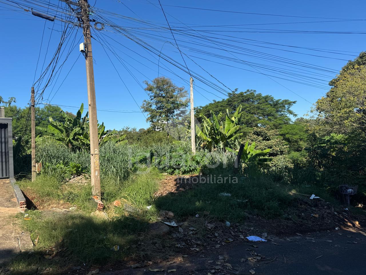Terrreno de 1.200m  na Avenida Brasil no Centro