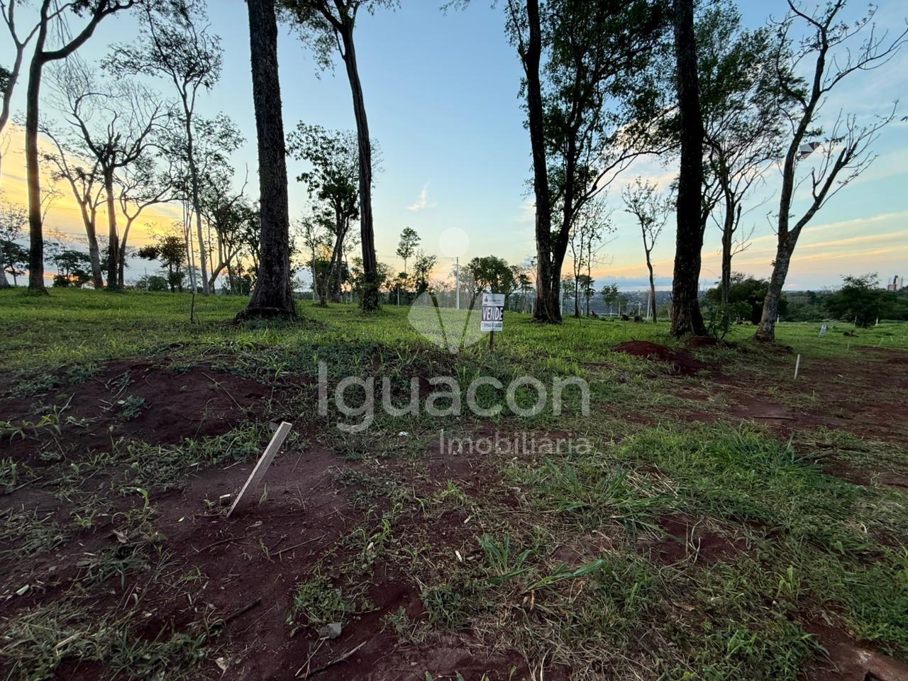 Terreno de 265,76m  á venda no Lotemento The Falls em Foz do Iguaçu - PR