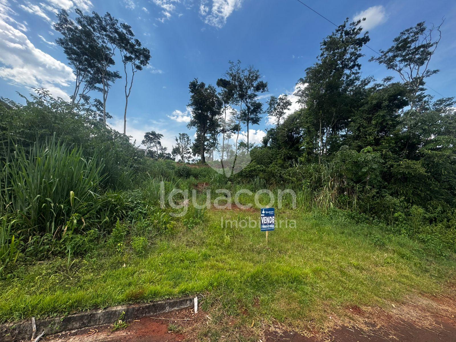Terreno de 200m  á venda no Loteamento Ecoville I próximo Aven...