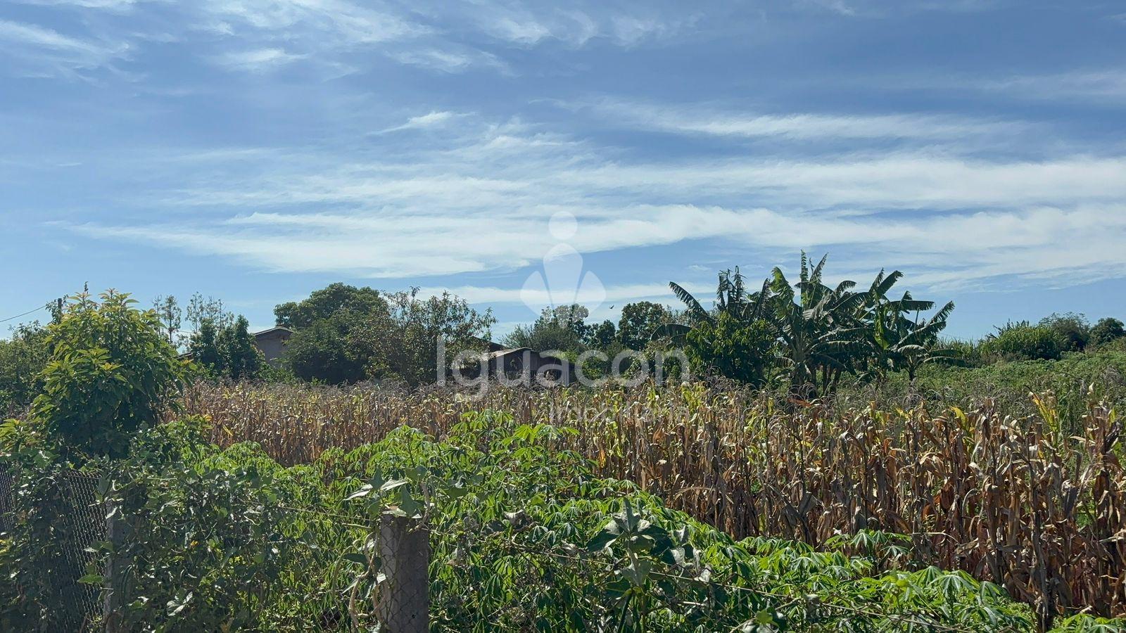 Ch?caras de 2000m  ? venda na Aparecidinha em Santa Terezinha ...