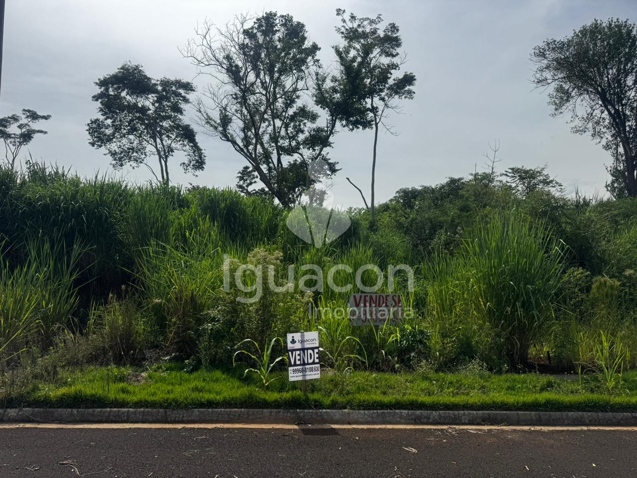 Terreno de 200m  á venda no Loteamento Ecoville I  próximo Avenida Tancredo Neves