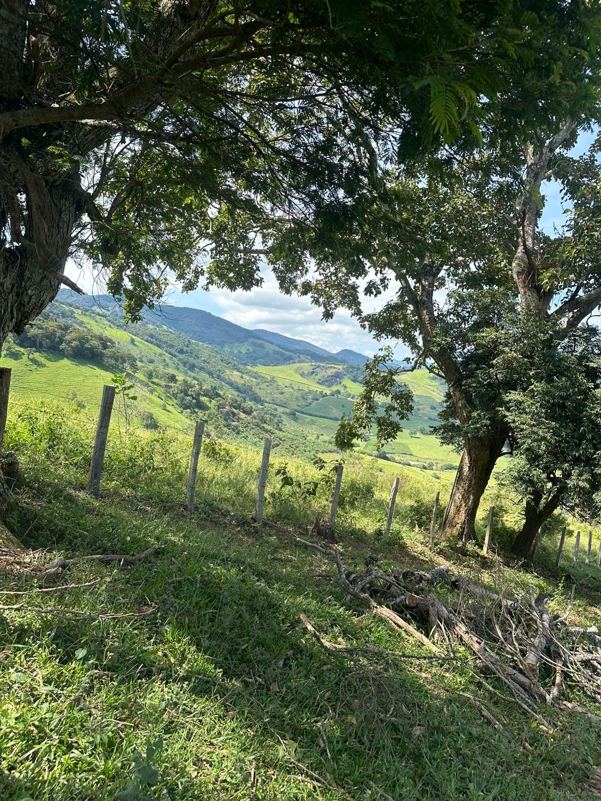Terreno, MUNDO NOVO, PARAISOPOLIS - MG