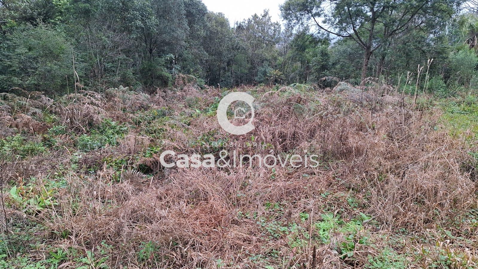 Terreno à venda, Bom Jesus, UNIAO DA VITORIA - PR. Analisa propostas