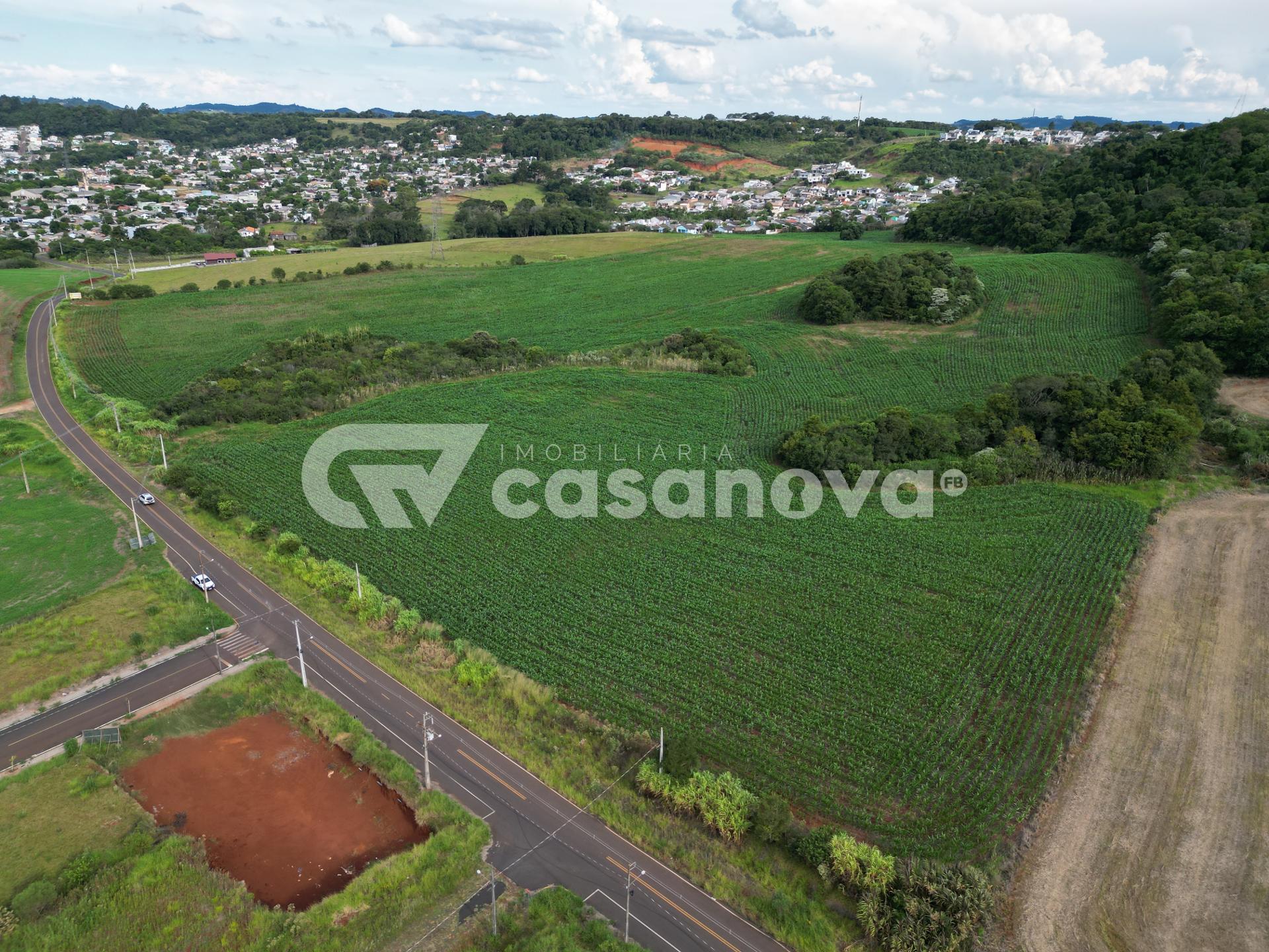 ÁREA COM MAIS DE 65 MIL M  A VENDA EM FRANCISCO BELTRÃO