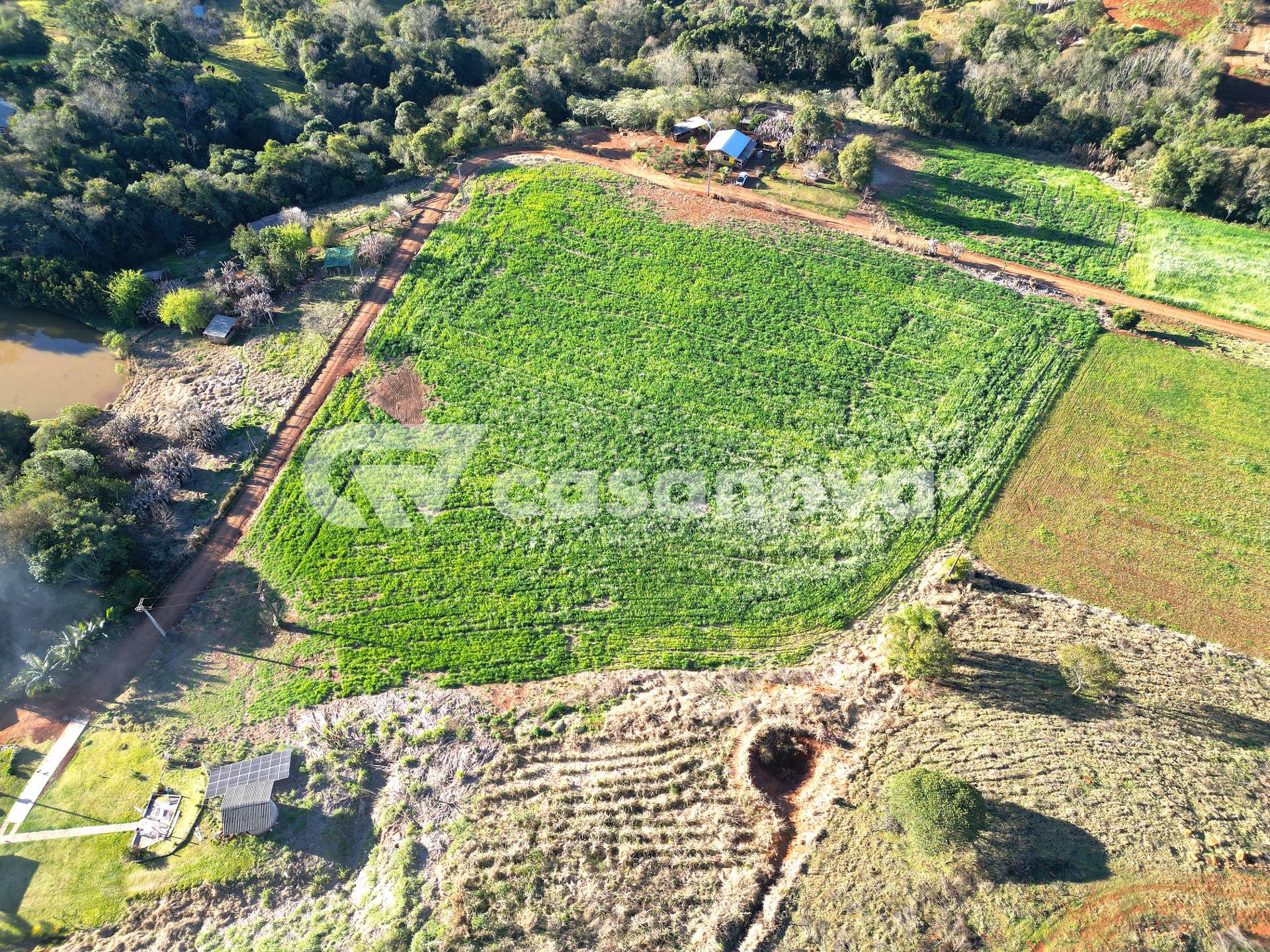 Sítio de 20 mil metros quadrados à venda em Francisco Beltrão ...