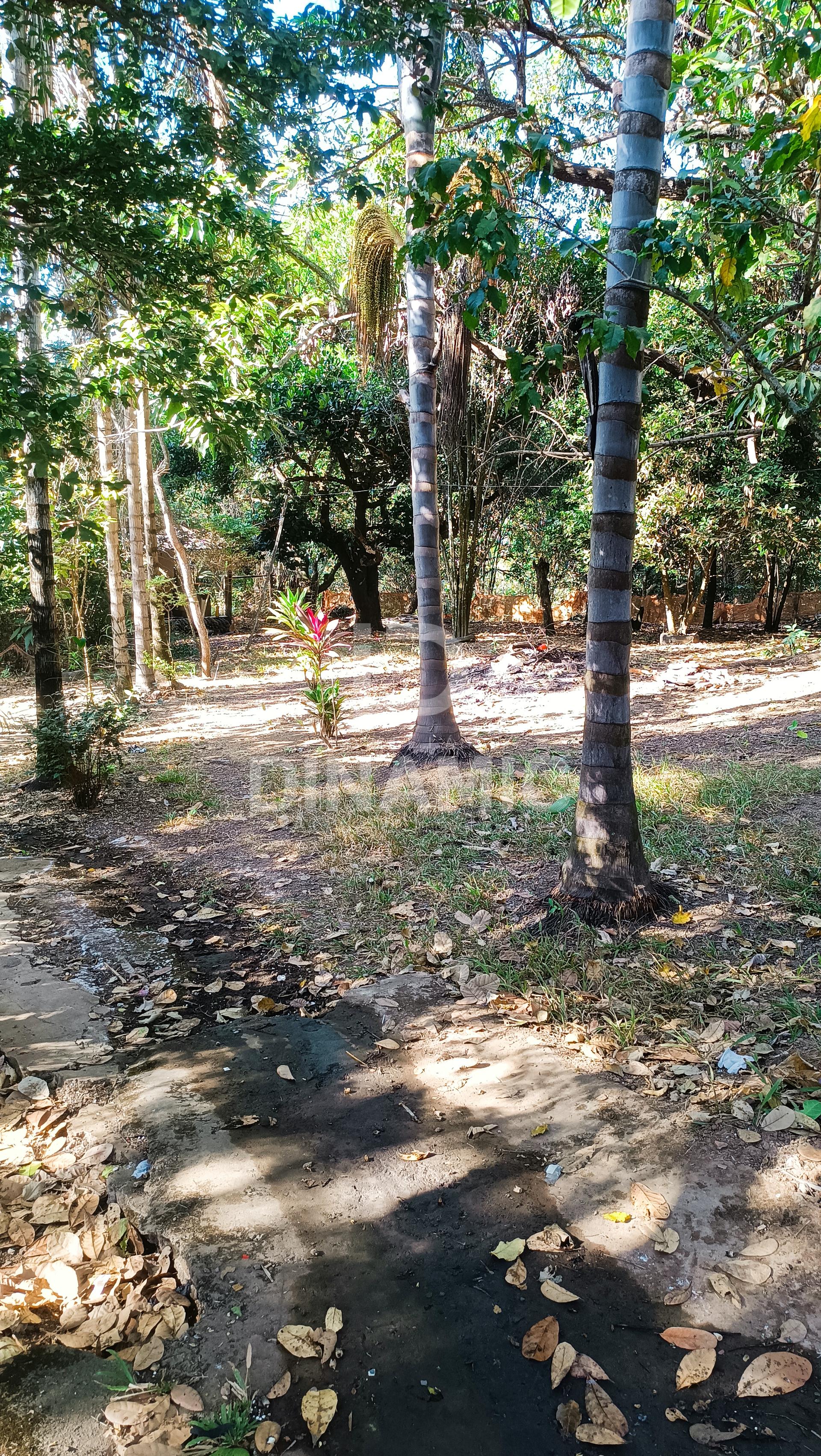 Ch?cara ? venda, Bairro Vale do Sol, APARECIDA DE GOIANIA - GO