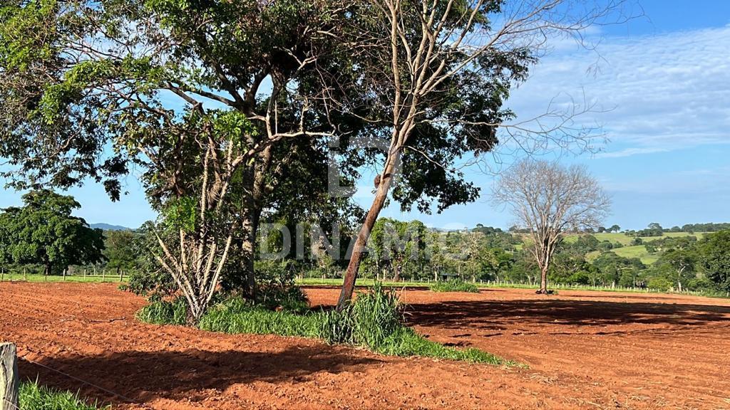 Fazenda 40 Alqueires ? Venda em Trindade GO a 7 km da Cidade