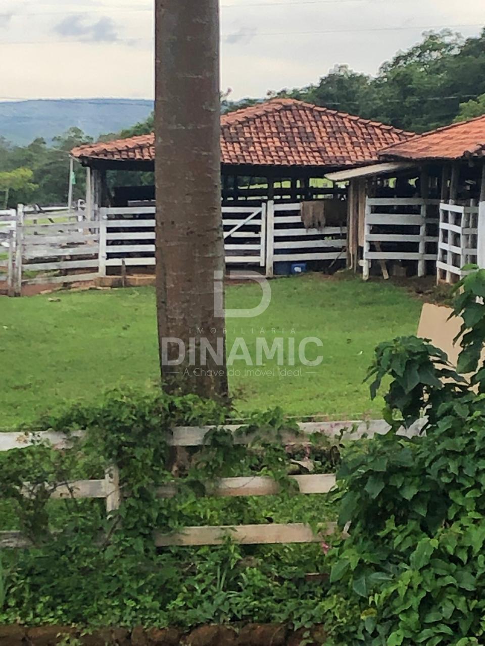 Fazenda 36 Alqueires ? Venda em Alex?nia GO com Casa Sede e Es...