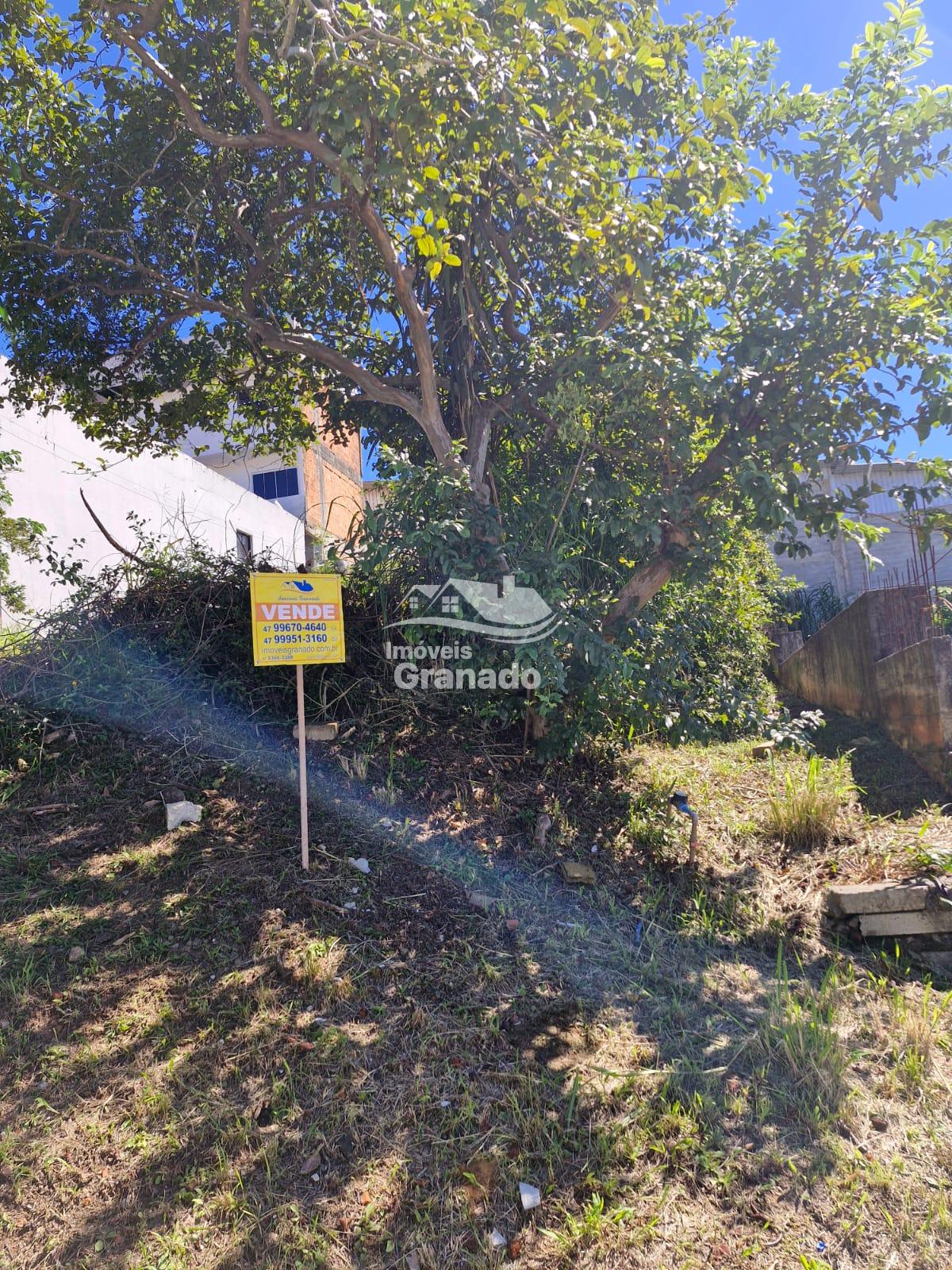 Terreno à venda, 300.00 m , MONTE ALEGRE, CAMBORIU - SC