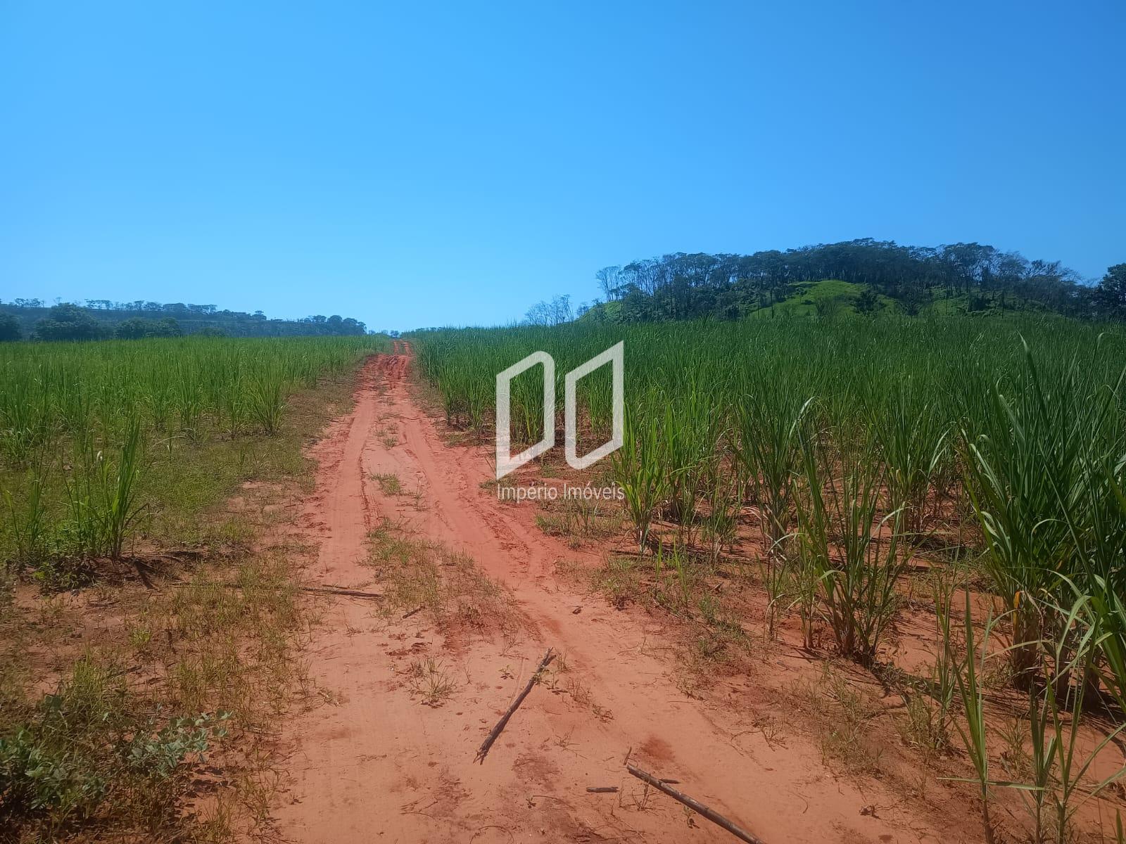 Sítio à venda, 10 Alqueires, Estrada Abílio Augusto Correa, Gu...