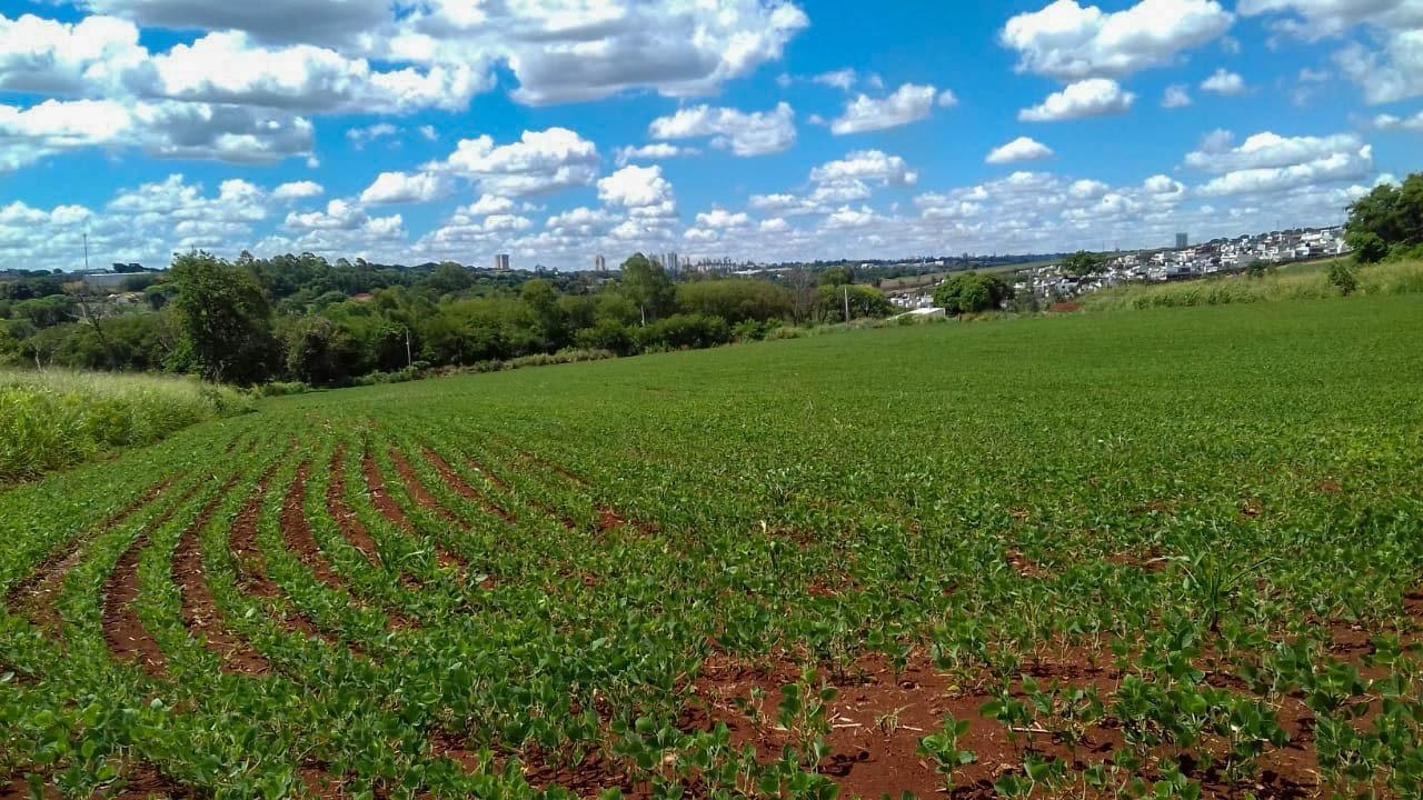 Ch?cara ? venda, CONJUNTO VALE AZUL, SARANDI - PR