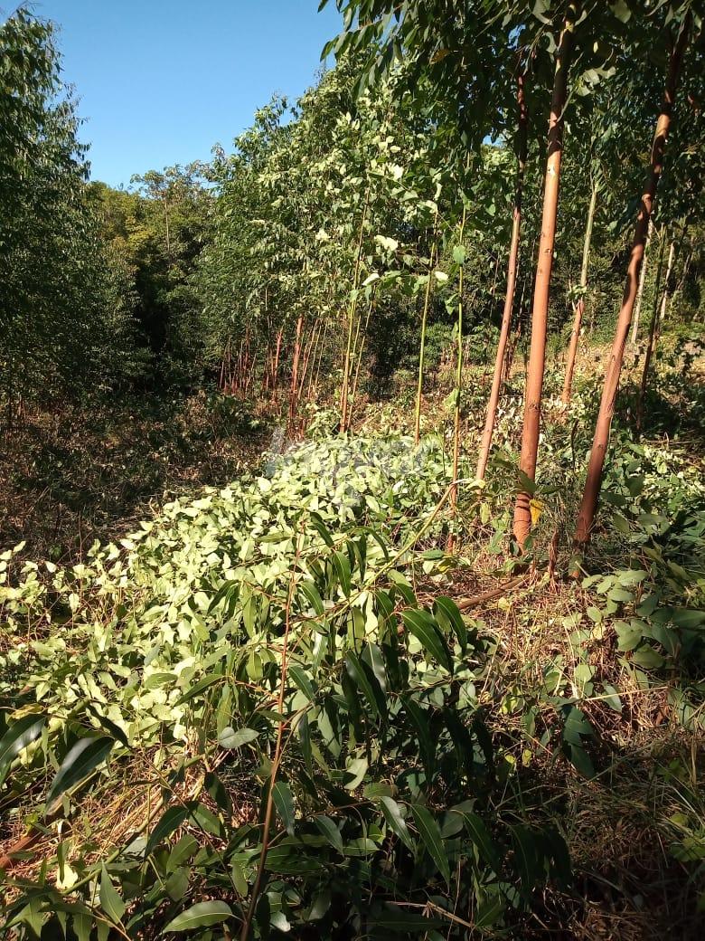CHCARA  VENDA EM VERA CRUZ DO OESTE