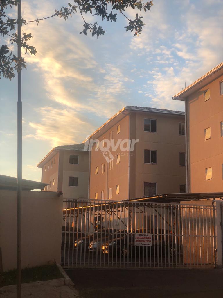 Apartamento  venda, So Francisco, TOLEDO - PR