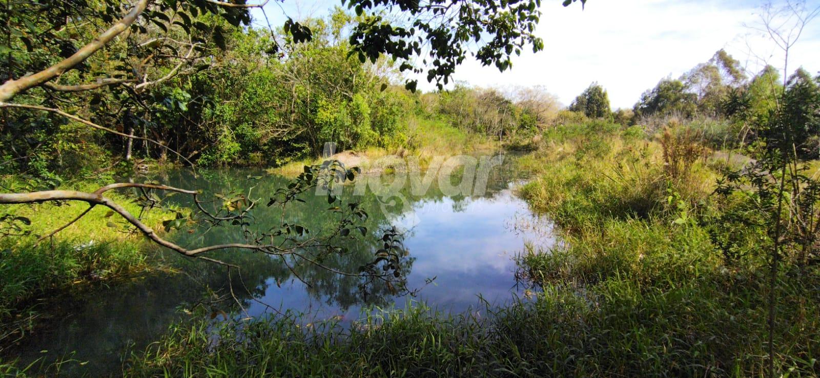 CHACARA EM SO PEDRO DO IGUAU, 42.200MTS
