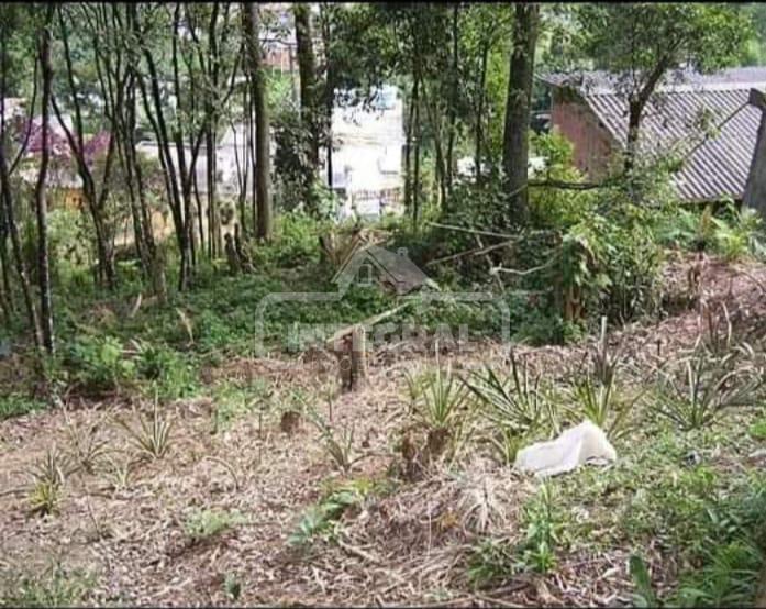 Terreno à venda, Recreio da Borda do Campo, SANTO ANDRE - SP
