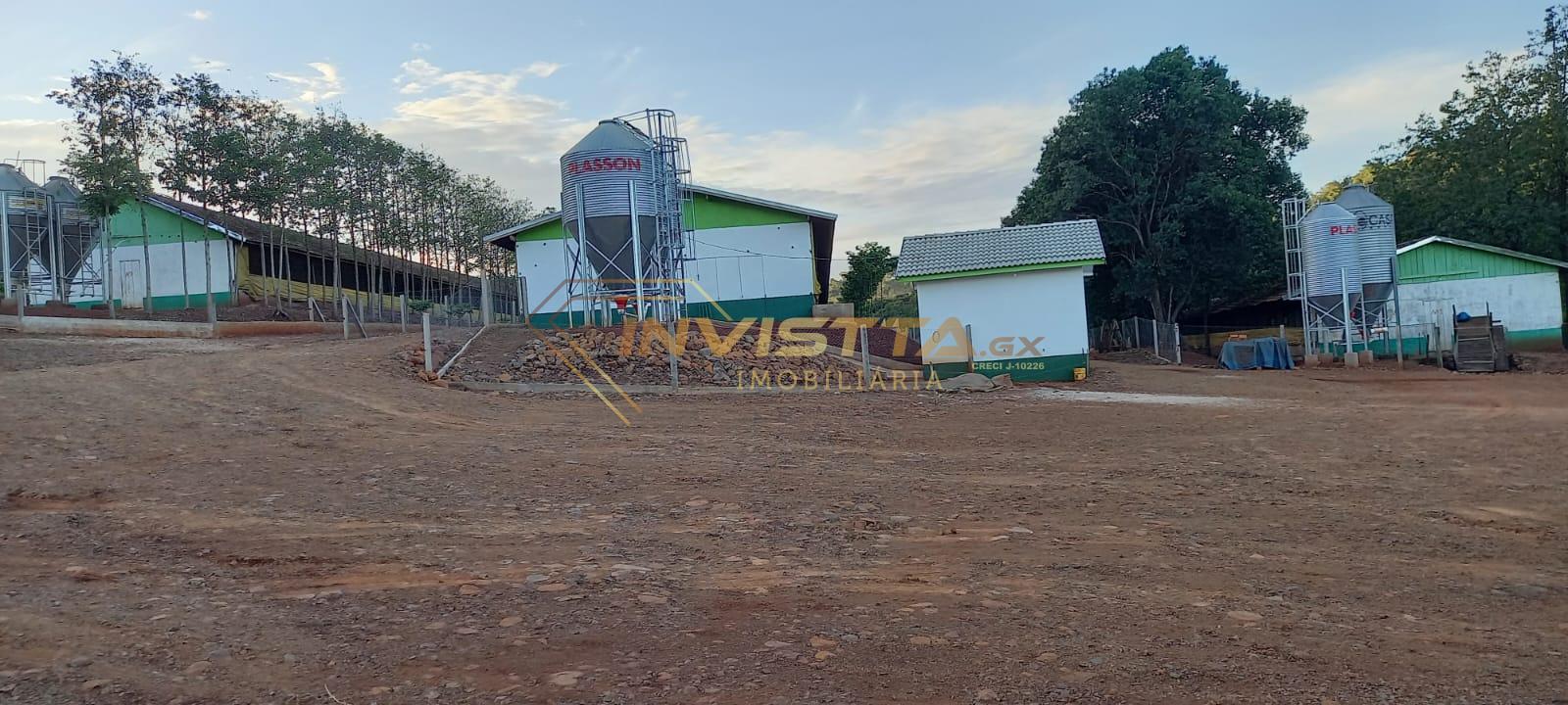 AREA RURAL PARA CRIAÇÃO DE SUÍNOS EM MISSAL E REGIAO
