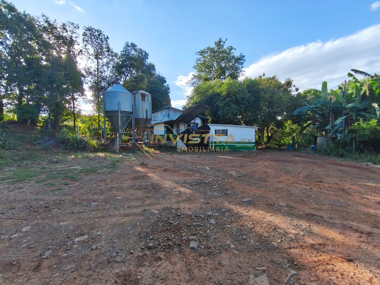 GRANJA DE SUÍNOS EM MISSAL - LINHA VISTA ALEGRE
