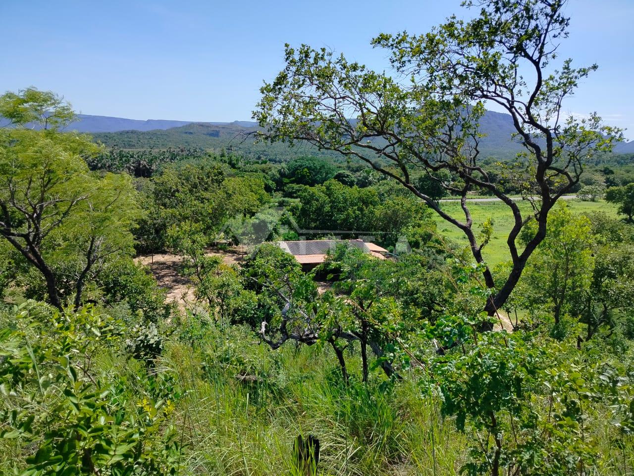 Vende-se uma propriedade em Taguatinga Tocantins localizada a ...