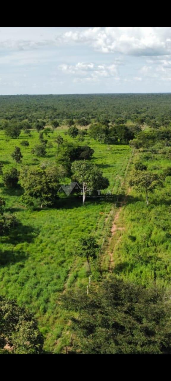 FAZENDA À VENDA EM TAGUATINGA TOCANTÍNS, 16 KM DA SEDE.