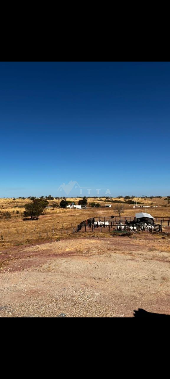 FAZENDA À VENDA TAGUATINGA TOCANTIS, 90 KM DE LUÍS EDUARDO MAG...