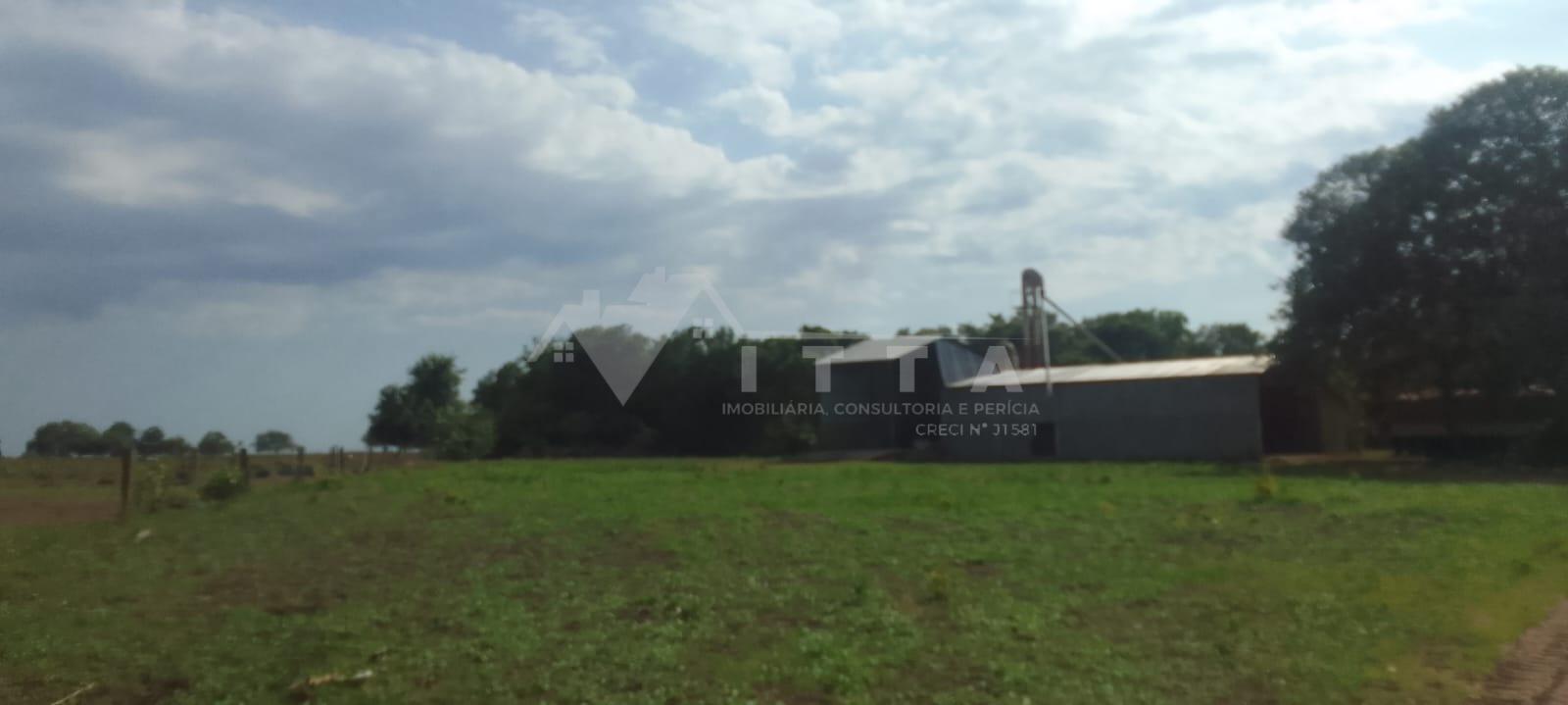 FAZENDA À VENDA EM TAGUATINGA TOCANTIS, 48 KM DE LUÍS EDUARDO ...